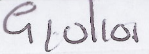 Giulioi